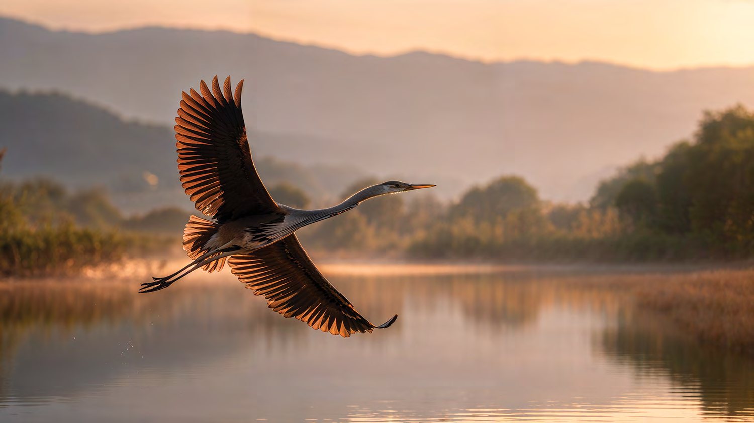 Protected bird sanctuary adjoining the Gonio Waterfront masterplan